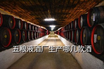 五粮神酒贵宾陈酿价格与品鉴指南